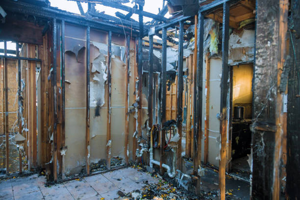 Professional Structural Rebuild technician working in Marine On Saint Croix, MN